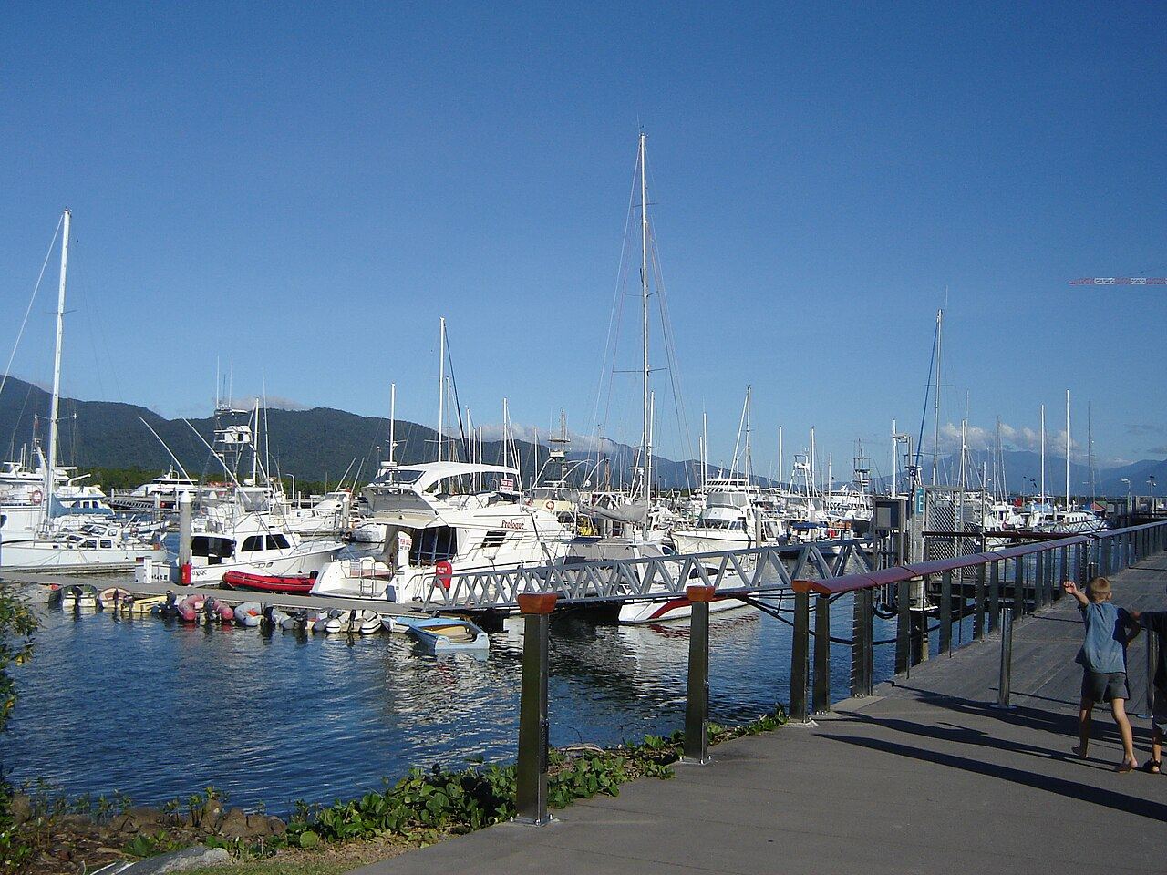 Marina berths and pontoon arms in tropical North Queensland